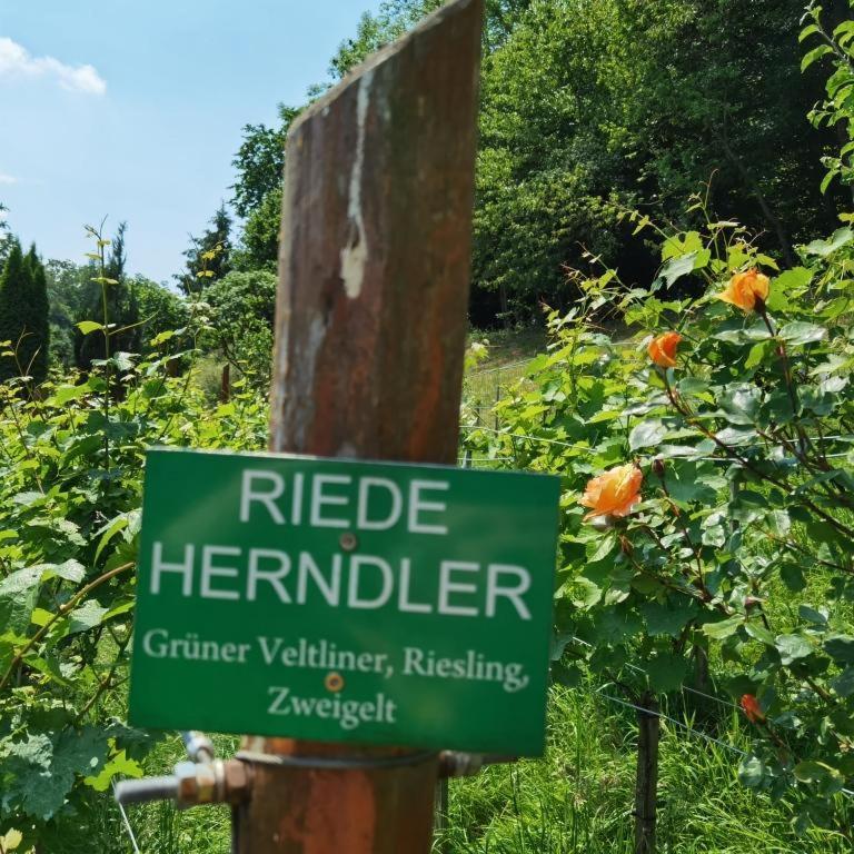 Privatzimmer Am Weinbrunnen Vorchdorf Exterior foto